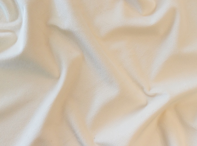 Ivory Plush Velvet Swatch