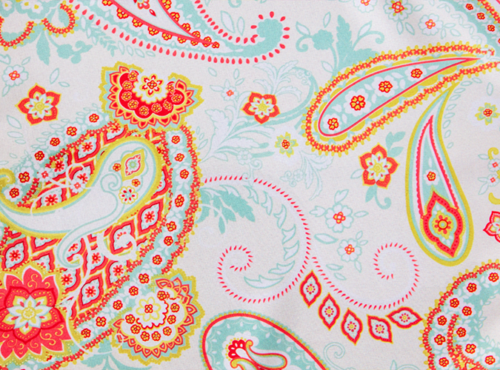 Charleston Paisley, Orange and Mint Paisley Print